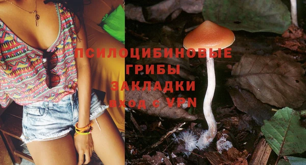 а пвп мука Переславль-Залесский
