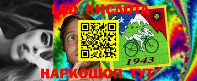прущие грибы Комсомольск-на-Амуре