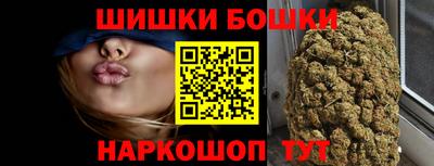 прущие грибы Комсомольск-на-Амуре