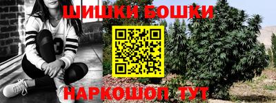 прущие грибы Комсомольск-на-Амуре