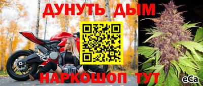 прущие грибы Комсомольск-на-Амуре