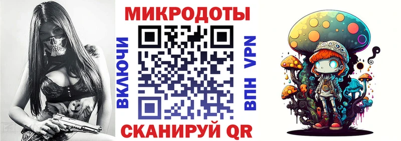 дарнет шоп  Костомукша  Галлюциногенные грибы Cubensis 