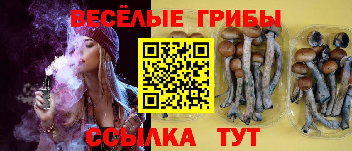Костомукша  Галлюциногенные грибы MAGIC MUSHROOMS  купить наркоту  Вход с VPN 